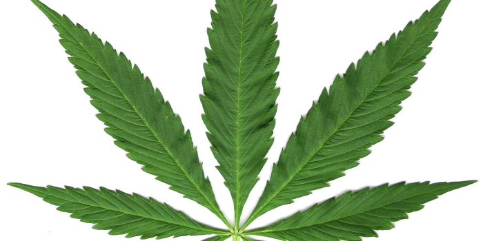 1603x1744 Weed Symbol Wallpaper- Free Clipart Images