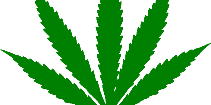 2000x2133 Weed PNG HD Transparent Weed HD.PNG Images. | PlusPNG