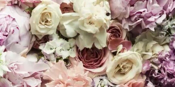 720x1280 Flower wallpaper images on Favim.com