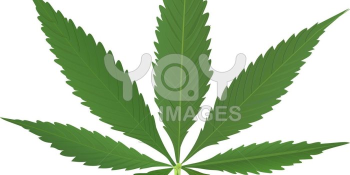 1210x1210 Weed Symbol Wallpaper- Free Clipart Images