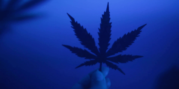 1920x1080 pot leaf marijuana symbol Stock Video Footage - Storyblocks Video