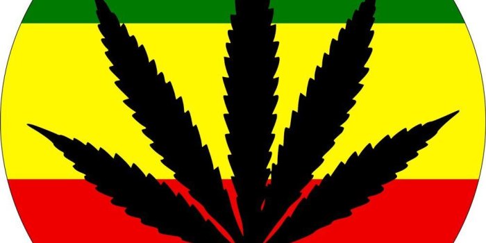 1001x1001 Weed Sign Gallery (62+ images)