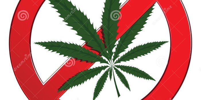 1300x1390 Weed Symbol Wallpaper- Free Clipart Images