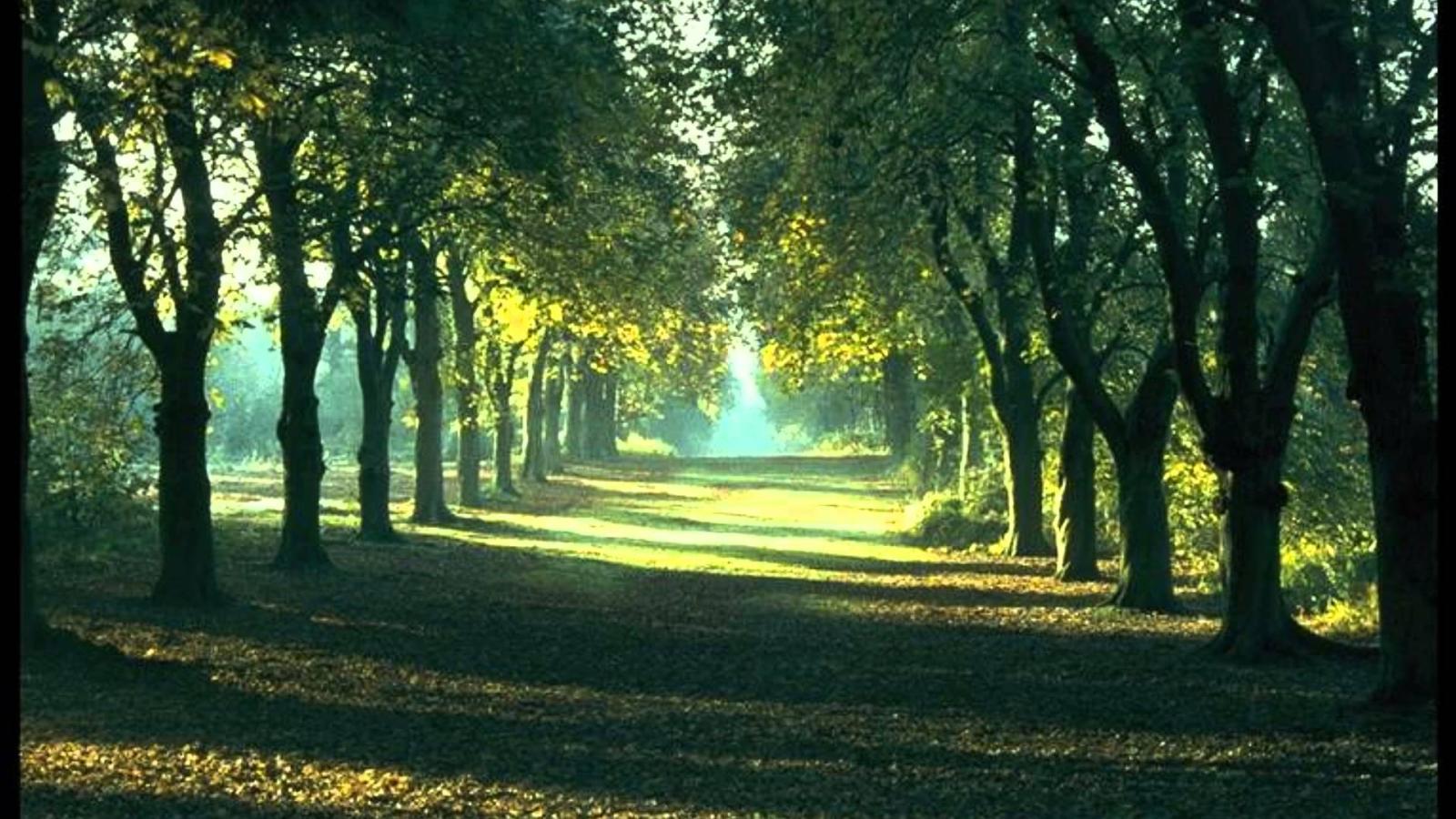 1920x1080 Eye Soothing Wallpapers Hd ✓ Gadget And Pc Wallpaper - Relaxing