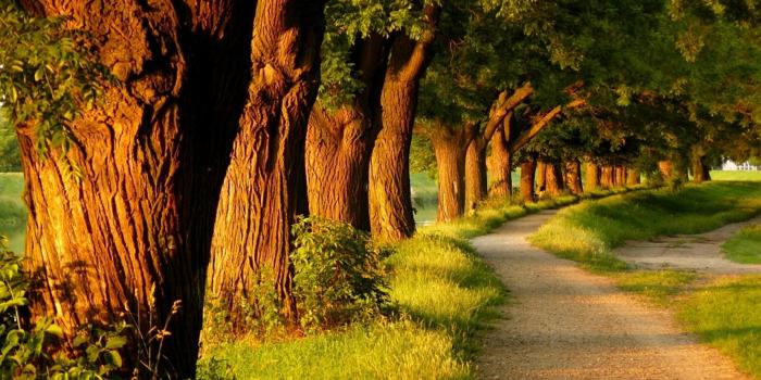 1920x1200 75+ Peaceful Desktop Wallpapers on WallpaperPlay