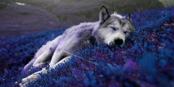 1920x1200 Relaxing Image – download best HD on the digitalimagemakerworld.com