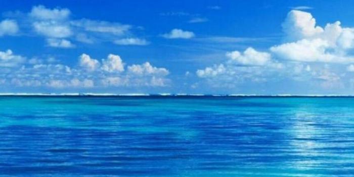 736x1376 Relaxing Beach Iphone Wallpaper | Beautiful BeachAuresqueue.com