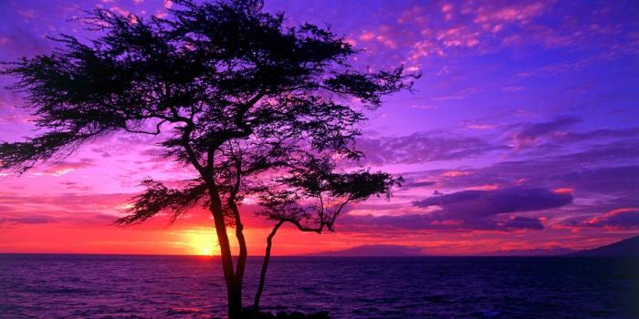 1920x1200 Nice Scenery Wallpaper - (64+) Group Wallpapers