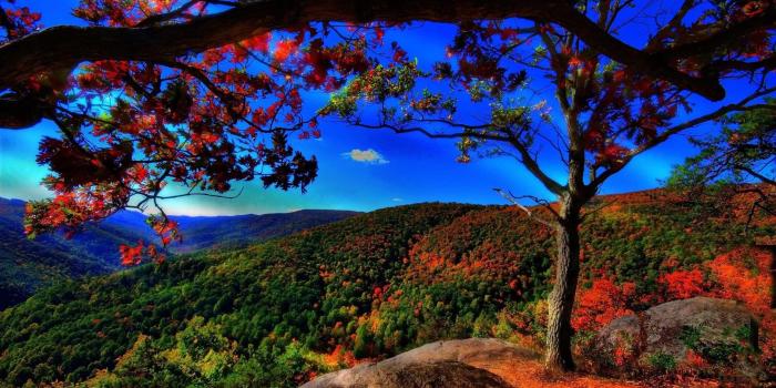 2560x1600 51+ Peaceful Scenery Wallpapers on WallpaperPlay