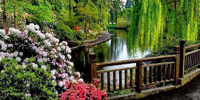 1177x921 Beautiful Scenic Photos Wallpaper | Free HD Wallpapers