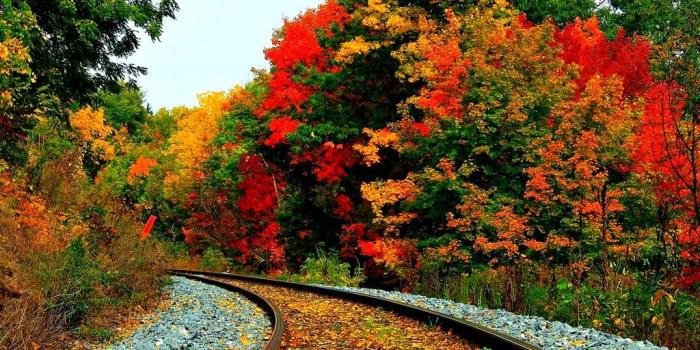 1024x1024 File: Beautiful Scenery Wallpapers-I18M1EL.jpg | WallpapersExpert.com