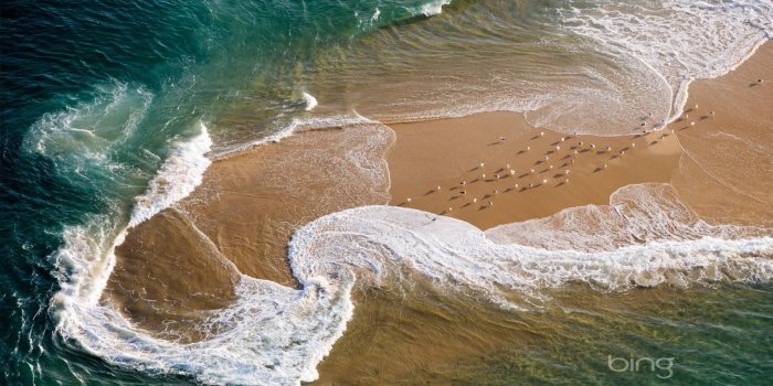 1920x1080 Download Bing Wallpaper Windows 10 (48+) - Free Wallpaper For your