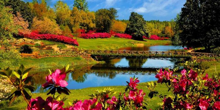 1440x900 Free download Beautiful Spring Scenery Wallpaper hd Wallpapers