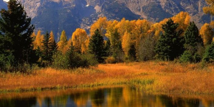 1024x1024 Beautiful Fall Scenery ❤ 4K HD Desktop Wallpaper for 4K Ultra HD TV