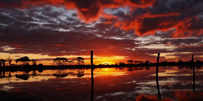 1600x1200 100 Most Famous National Geographic HD Wallpaper -Part 2 | Unique