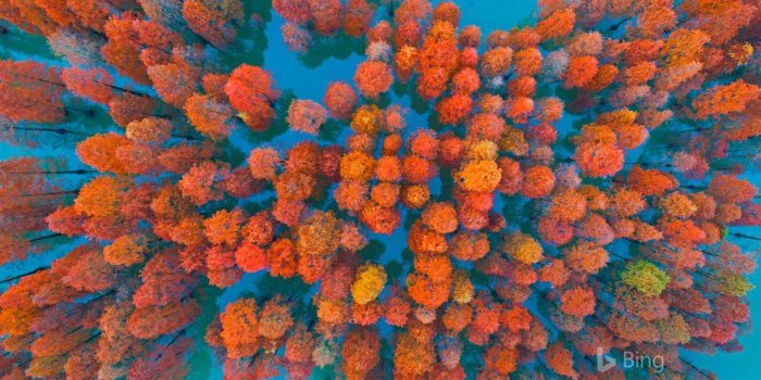 1399x874 Microsoft release Best of Bing Windows 10 wallpaper pack - MSPoweruser