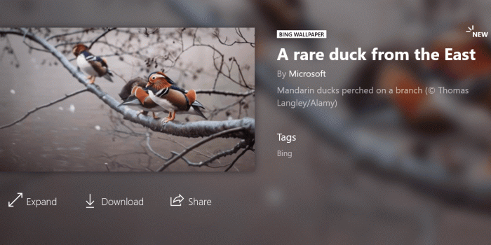 1418x664 Bing Wallpapers of the Day arrive on WallpaperHub.app