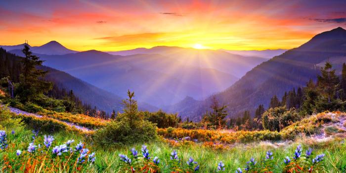 2560x1440 Beautiful Sunrise Wallpaper #6776635