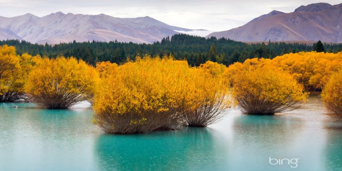 1920x1200 Best of Bing Wallpaper (76+ images)