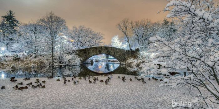 1399x874 Microsoft Has Launched A New App “bing In Winter” For - Central Park