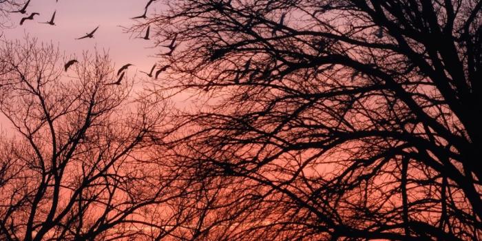 1080x1920 Beautiful Sunrise ❤ 4K HD Desktop Wallpaper for 4K Ultra HD TV