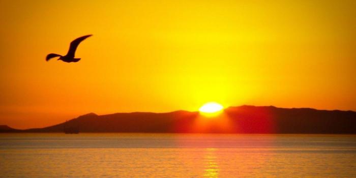 1366x768 Sunrise Wallpapers 26841 - HDWPro