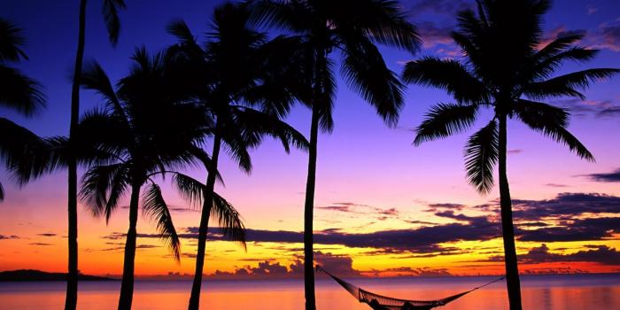 1920x1200 40+ Tropical Sunrise Sunset Wallpapers - Download at WallpaperBro