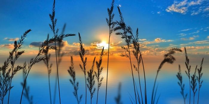 2560x1920 Best Beautiful Sunrise Wallpaper #69271 Wallpaper | Download HD