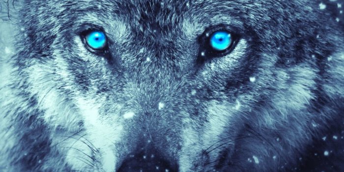 1242x2688 iphone xs max wallpaper: June 2018