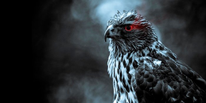 1920x1080 Gigabyte wallpaper 1080p Gallery