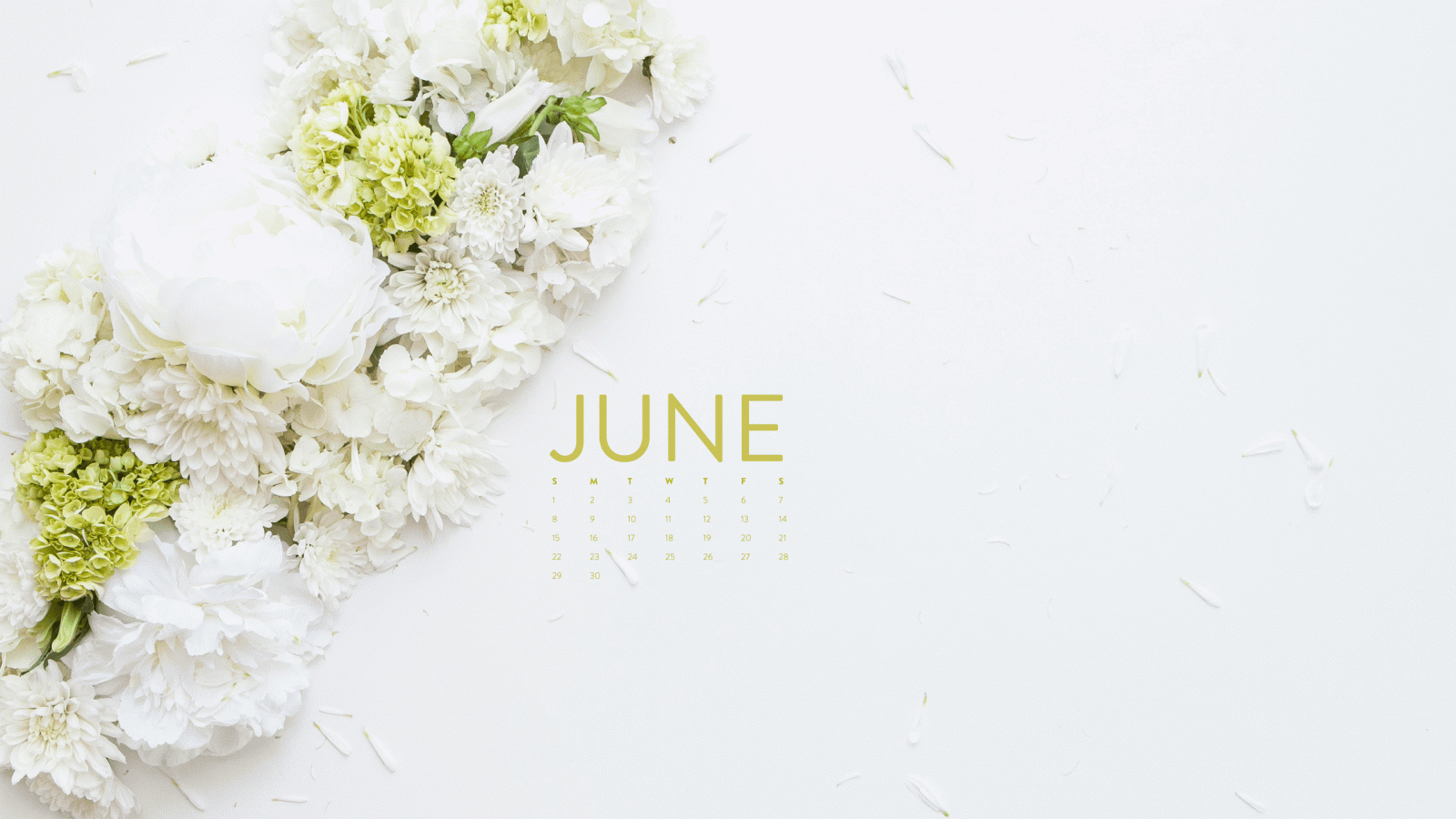 2560x1440 Happy June! Desktop Calendar + iPhone Wallpaper – Ashlee Proffitt