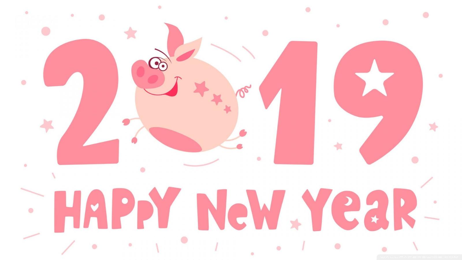 1920x1080 2019 Happy New Pig Year ❤ 4K HD Desktop Wallpaper for 4K Ultra HD