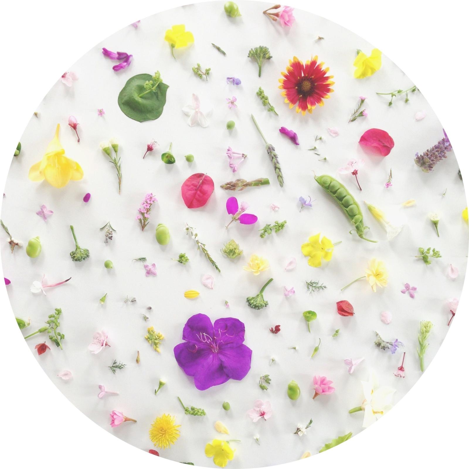 2448x2448 Food Collage Series: Happy Spring + a Desktop Wallpaper | Julie's