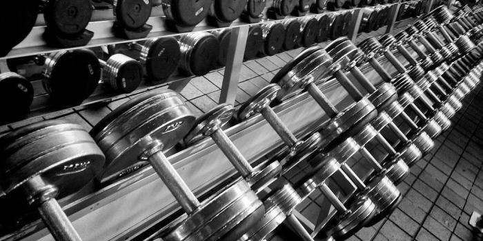 1024x768 Mobile gym wallpaper quote hd 1024×768 Gym Wallpaper (41 Wallpapers