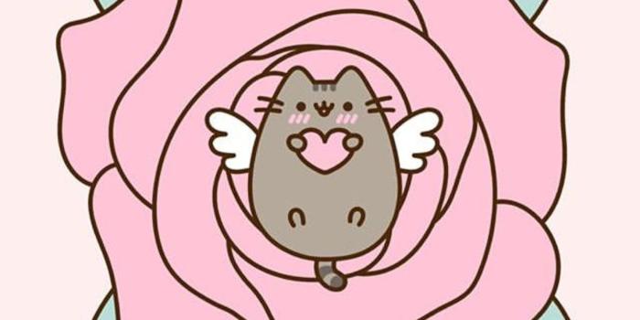 1920x3408 71136936 Pusheen with drink and flamingo floatie