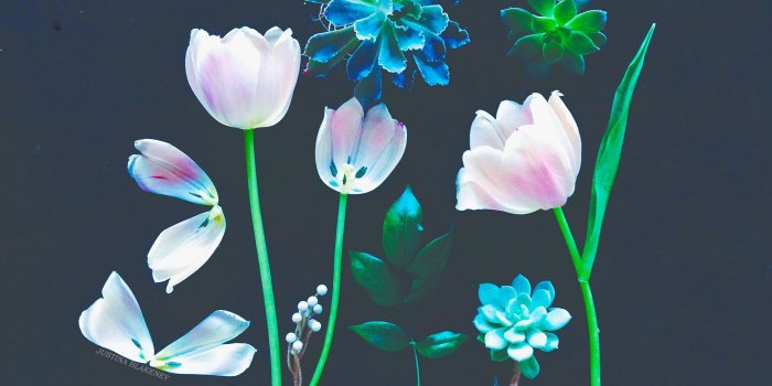 1920x1080 Bohemian Desktop Backgrounds