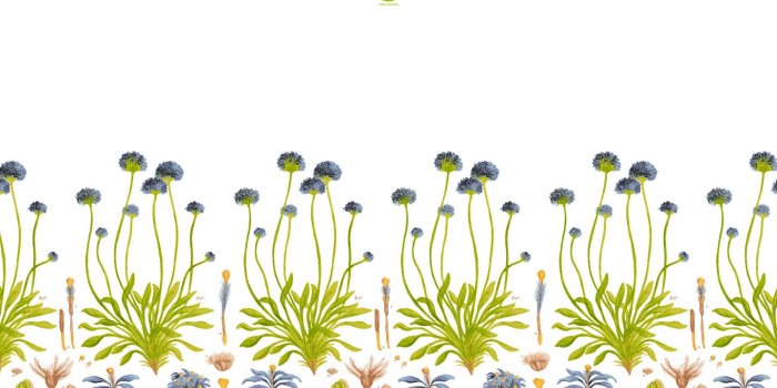 1440x900 Spring 2014: Exclusive Wallpaper | Tory Daily