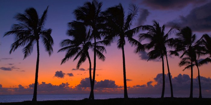 1920x1080 Best Hawaii Beach Desktop Wallpaper – Background Wallpaper HD