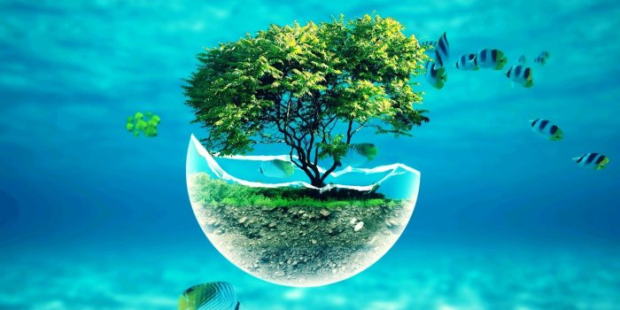 1920x1080 50+ Underwater Widescreen Desktop Wallpapers - Download at WallpaperBro