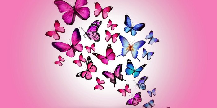1332x850 Wallpaper butterfly, colorful, blue, pink, butterflies, design by