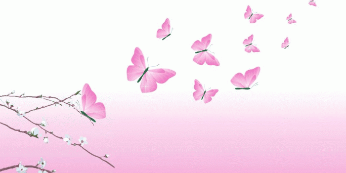 1024x768 Pink Butterflies - yorkshire_rose Wallpaper (28657705) - Fanpop