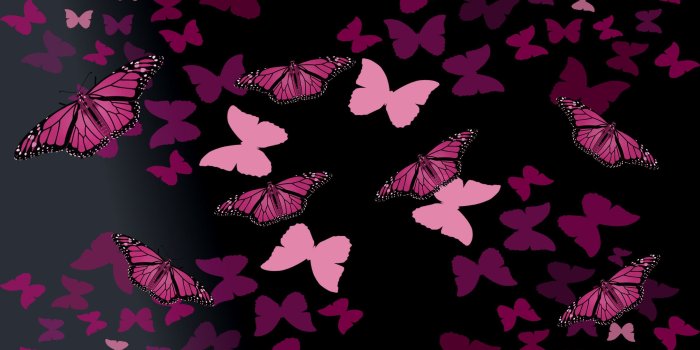 2400x1350 Black wallpaper with pink butterflies - Barbaras HD Wallpapers
