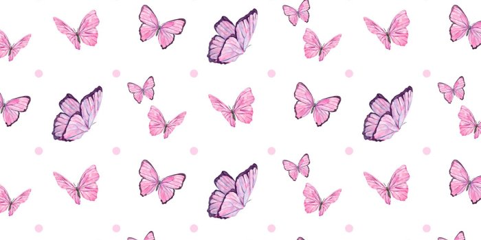 1500x1500 Buy Pink Butterflies With White Wallpaper Online in India at Best