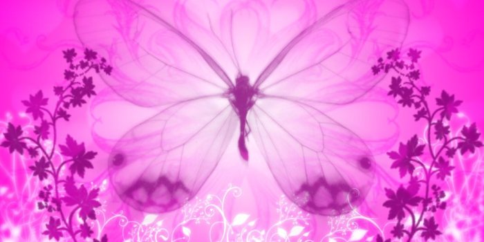 1024x768 Pink butterfly wallpaper Free PPT Backgrounds for your PowerPoint