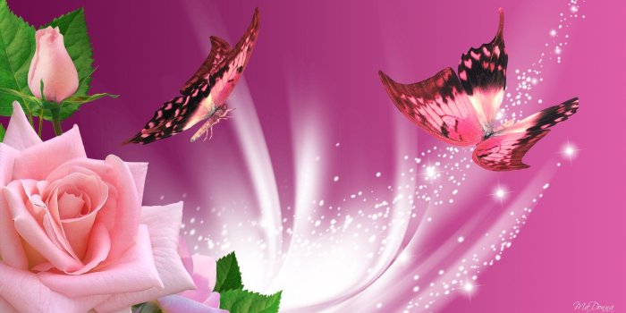 1920x1080 Free download Pink Butterflies Wallpaper wallpaper Pink Butterflies