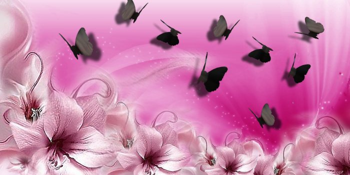 1920x1080 Pink Butterfly Wallpapers Desktop
