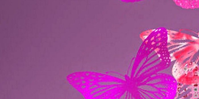 900x1600 Free Butterfly Wallpaper - Pink Hd Wallpaper For Iphone 6 (#161086