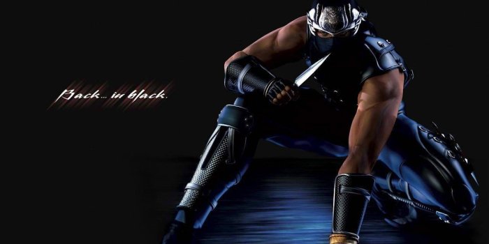 1280x960 3D Ninja Wallpapers - Top Free 3D Ninja Backgrounds - WallpaperAccess