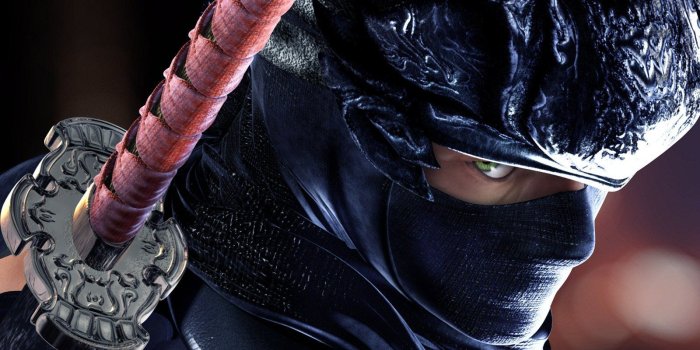 1600x1200 Ninja Gaiden HD Wallpaper 13 - 1600 X 1200