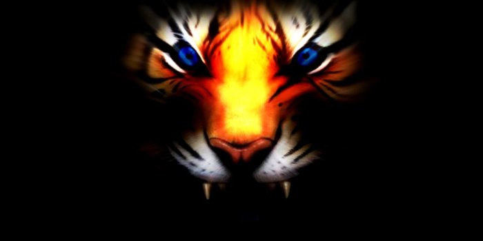 1190x931 White Tiger With Blue Eyes Wallpaper 3D | Wallpapers Ninja